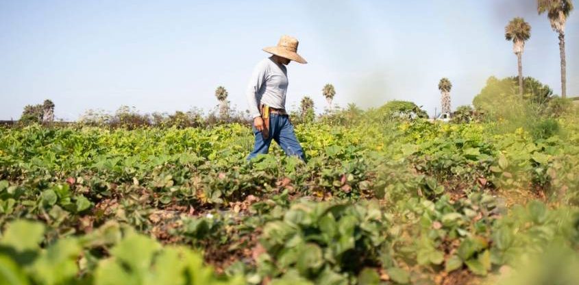 Kiss the Ground: Regenerating the World’s Soils to Combat Climate Change