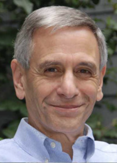 Mark Braverman, Author
