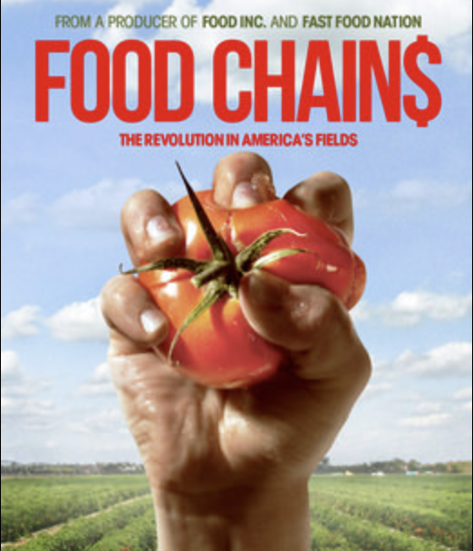 Food Chains