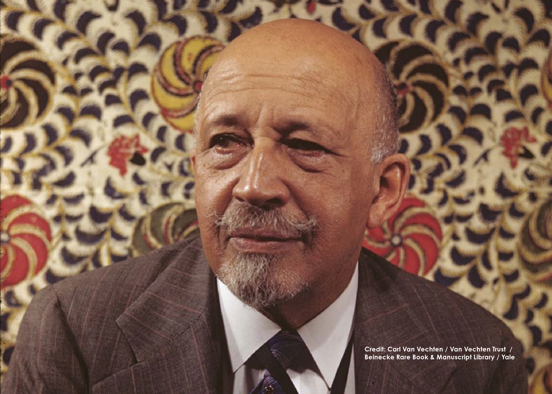 A man sits before a backdrop featuring a bold, floral-like pattern in red, gold, black, green, and ivory. His gray and white hair is worn very close to the sides of his scalp, and the top of his head is bald. He has a mustache and goatee of similar coloration. He wears a brown pinstripe suit jacket, a white oxford shirt, and a plaid tie in purple tones. A black woven cord hangs from his neck. He looks off to his right.